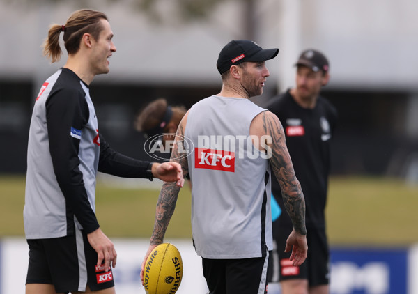 AFL 2025 Training - Collingwood 060825 - A-61286696