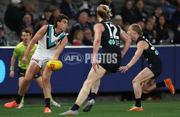 AFL 2025 Round 23 - Carlton v Port Adelaide - A-61402613