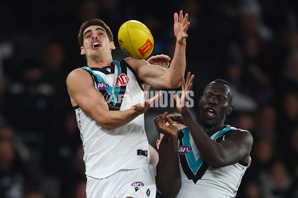 AFL 2025 Round 23 - Carlton v Port Adelaide - A-61412898