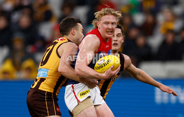AFL 2025 Round 23 - Hawthorn v Melbourne - A-61418867