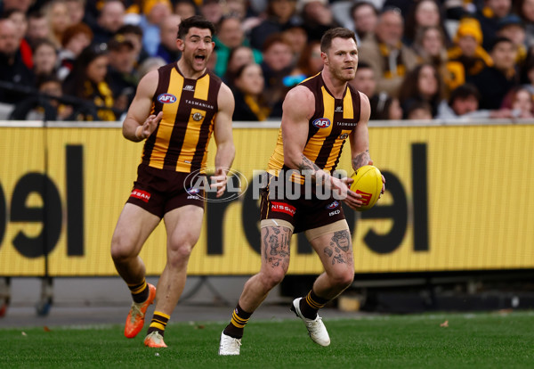 AFL 2025 Round 23 - Hawthorn v Melbourne - A-61421135
