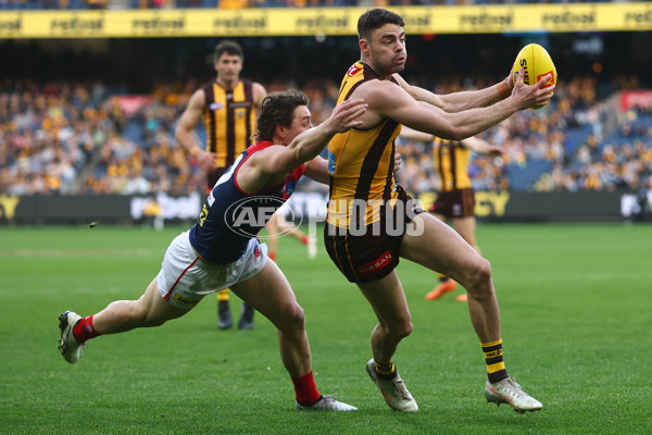 AFL 2025 Round 23 - Hawthorn v Melbourne - A-61421146