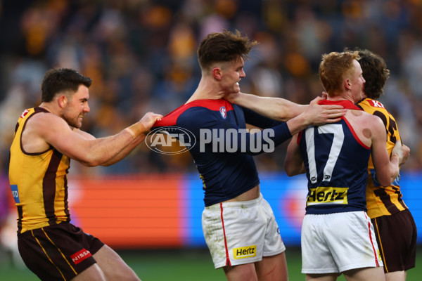 AFL 2025 Round 23 - Hawthorn v Melbourne - A-61421194
