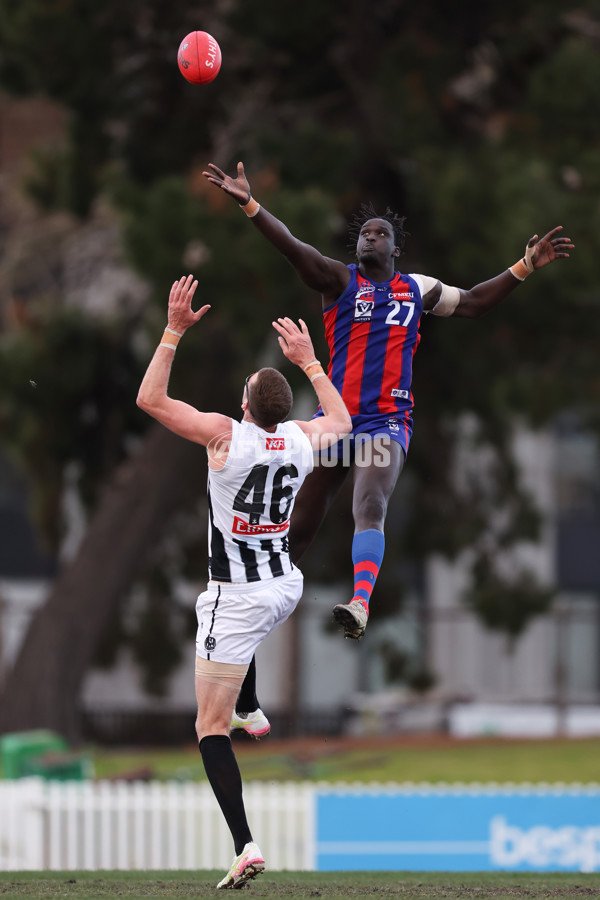 VFL 2025 Round 21 - Port Melbourne v Collingwood - A-61421654
