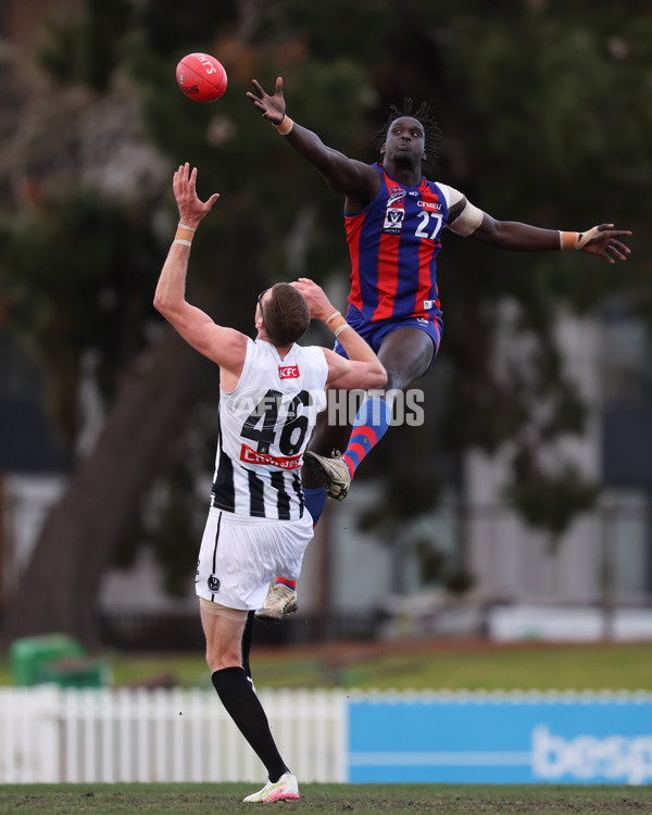 VFL 2025 Round 21 - Port Melbourne v Collingwood - A-61421659