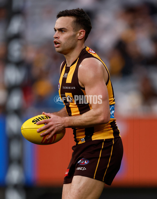 AFL 2025 Round 23 - Hawthorn v Melbourne - A-61424300
