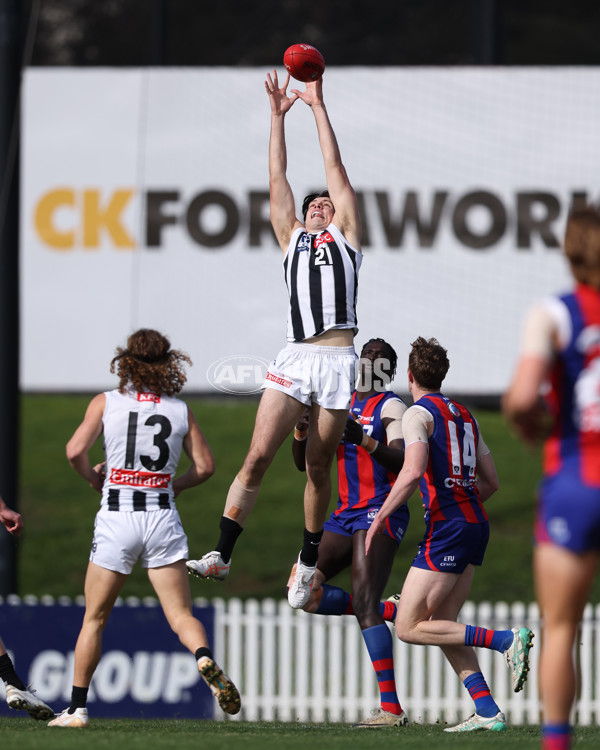 VFL 2025 Round 21 - Port Melbourne v Collingwood - A-61426956