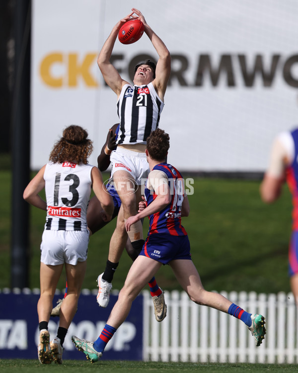 VFL 2025 Round 21 - Port Melbourne v Collingwood - A-61426980