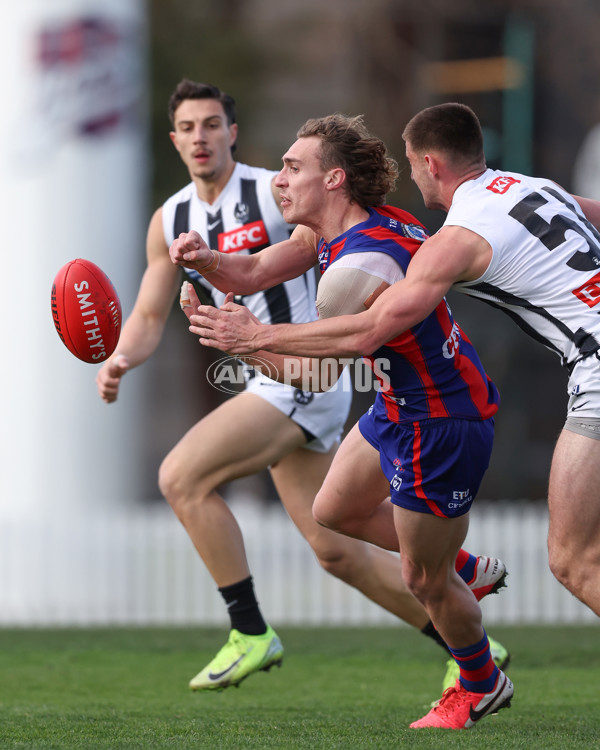 VFL 2025 Round 21 - Port Melbourne v Collingwood - A-61434720