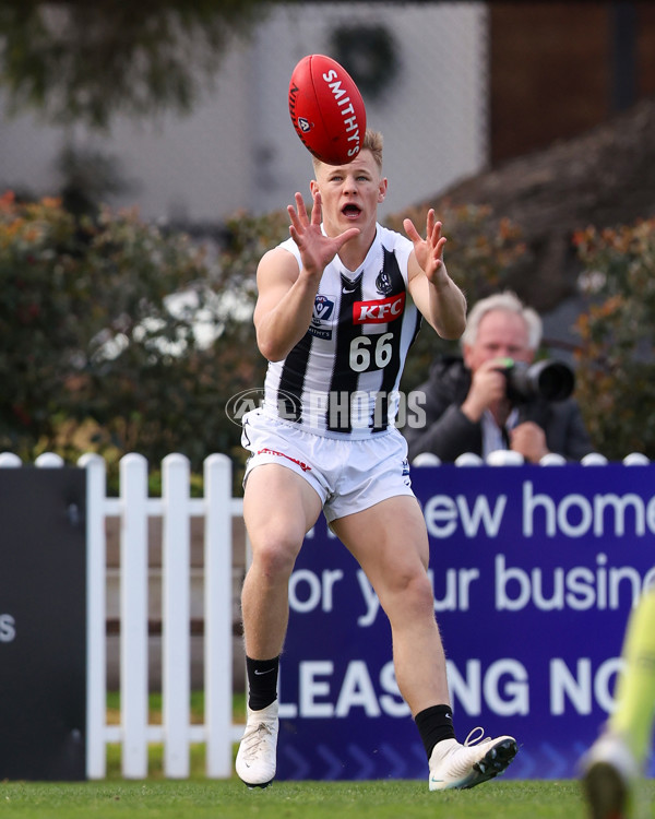 VFL 2025 Round 21 - Port Melbourne v Collingwood - A-61434728