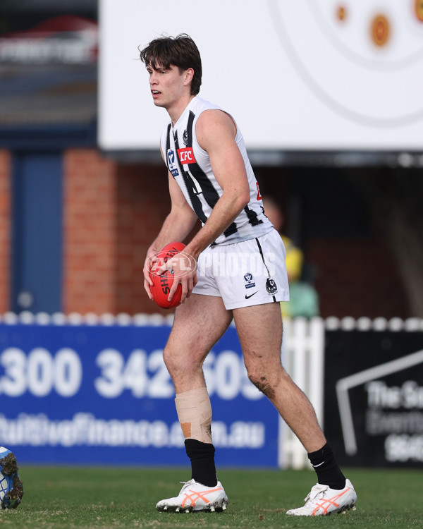VFL 2025 Round 21 - Port Melbourne v Collingwood - A-61434731