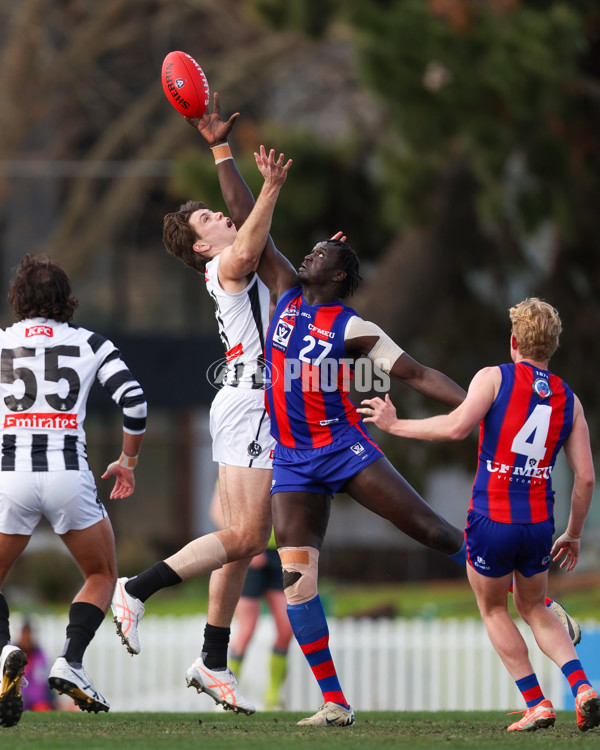 VFL 2025 Round 21 - Port Melbourne v Collingwood - A-61435105