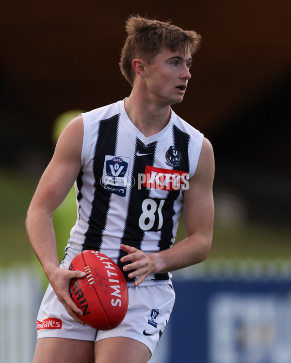 VFL 2025 Round 21 - Port Melbourne v Collingwood - A-61435110