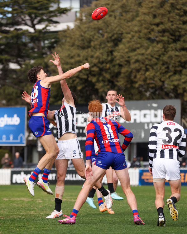 VFL 2025 Round 21 - Port Melbourne v Collingwood - A-61439863
