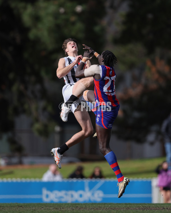 VFL 2025 Round 21 - Port Melbourne v Collingwood - A-61442363