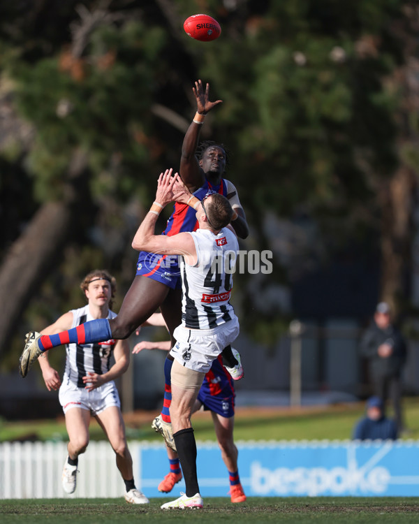 VFL 2025 Round 21 - Port Melbourne v Collingwood - A-61445633