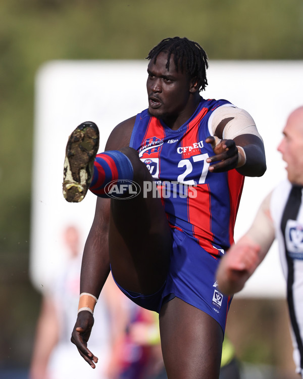 VFL 2025 Round 21 - Port Melbourne v Collingwood - A-61445636