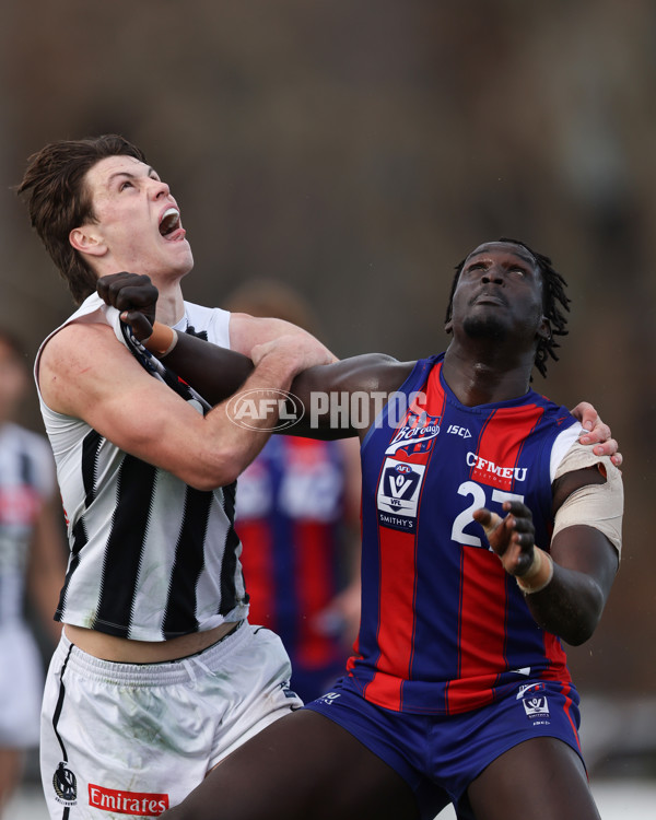 VFL 2025 Round 21 - Port Melbourne v Collingwood - A-61450051