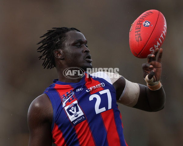 VFL 2025 Round 21 - Port Melbourne v Collingwood - A-61450057