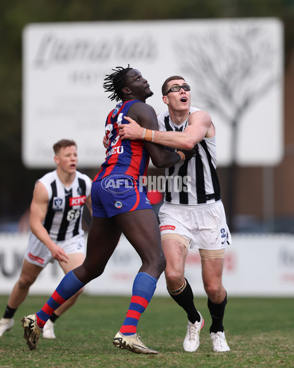 VFL 2025 Round 21 - Port Melbourne v Collingwood - A-61452515