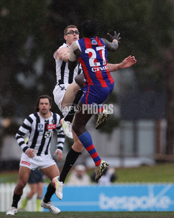 VFL 2025 Round 21 - Port Melbourne v Collingwood - A-61453206