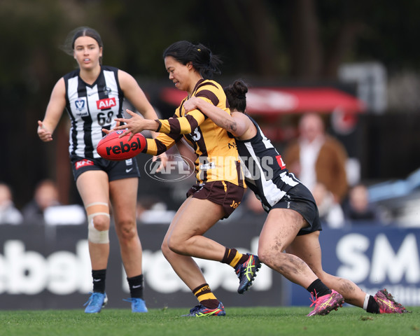 VFLW 2025 Second Semi Final - Collingwood v Box Hill - A-61455444