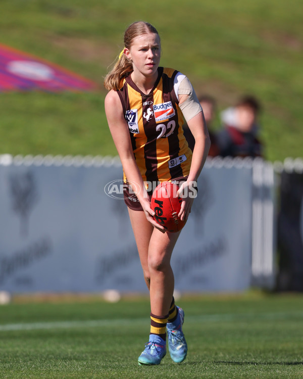VFLW 2025 Second Semi Final - Collingwood v Box Hill - A-61457611