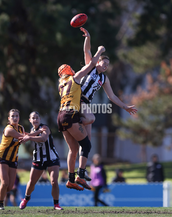 VFLW 2025 Second Semi Final - Collingwood v Box Hill - A-61457646