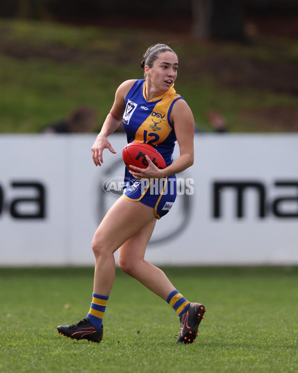 VFL 2025 First Semi Final - North Melbourne Werribee v Williamstown - A-61460482