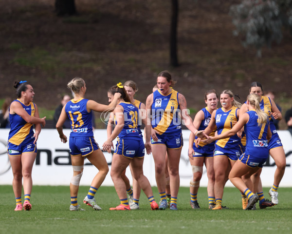 VFL 2025 First Semi Final - North Melbourne Werribee v Williamstown - A-61476217