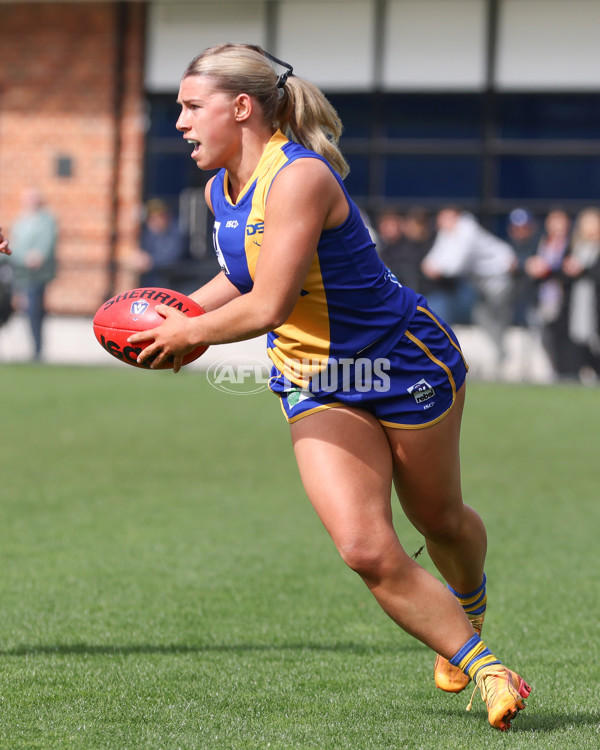 VFL 2025 First Semi Final - North Melbourne Werribee v Williamstown - A-61488492