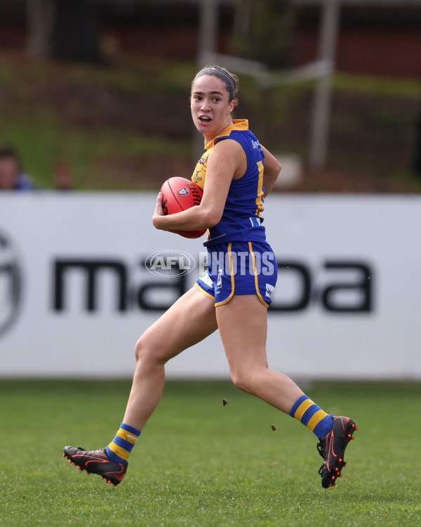 VFL 2025 First Semi Final - North Melbourne Werribee v Williamstown - A-61490630