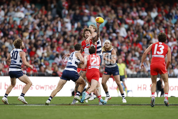 AFL 2025 Round 23 - Sydney v Geelong - A-61506772