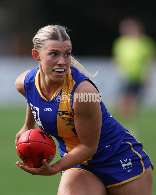 VFL 2025 First Semi Final - North Melbourne Werribee v Williamstown - A-61512286