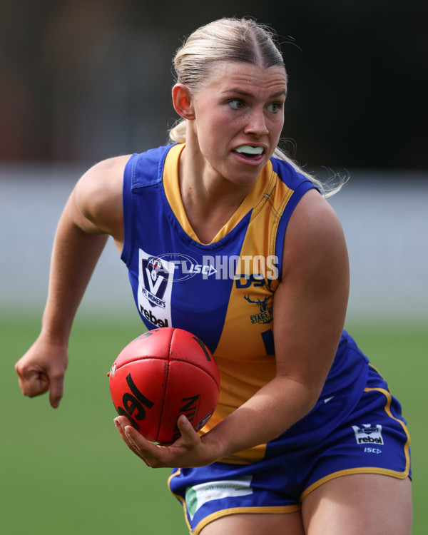 VFL 2025 First Semi Final - North Melbourne Werribee v Williamstown - A-61512312