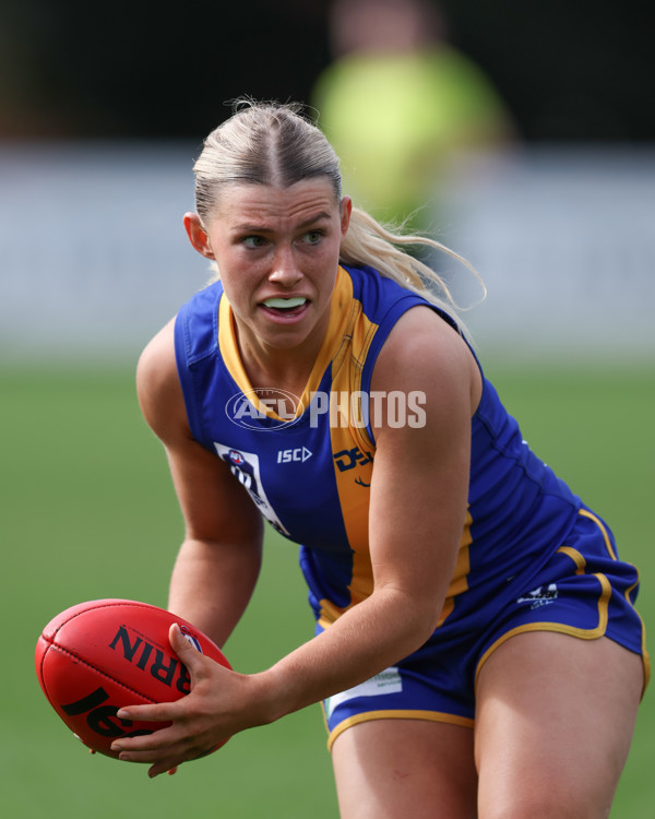 VFL 2025 First Semi Final - North Melbourne Werribee v Williamstown - A-61513478