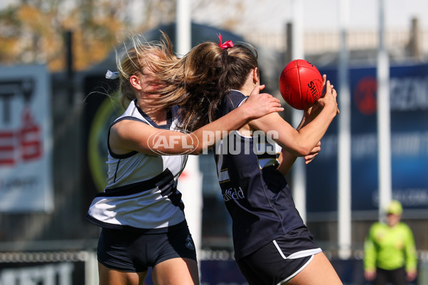 2025 Herald Sun Shield - Division 1 Senior Girls Grand Final - A-61534876
