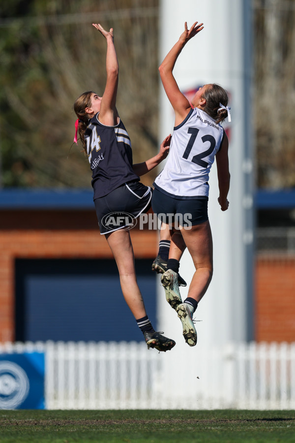 2025 Herald Sun Shield - Division 1 Senior Girls Grand Final - A-61538303