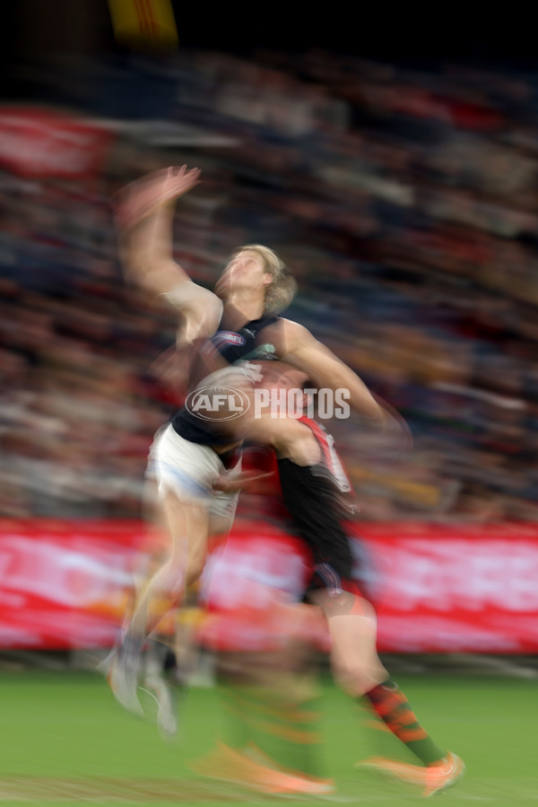 AFL 2025 Round 24 - Essendon v Carlton - A-61629362