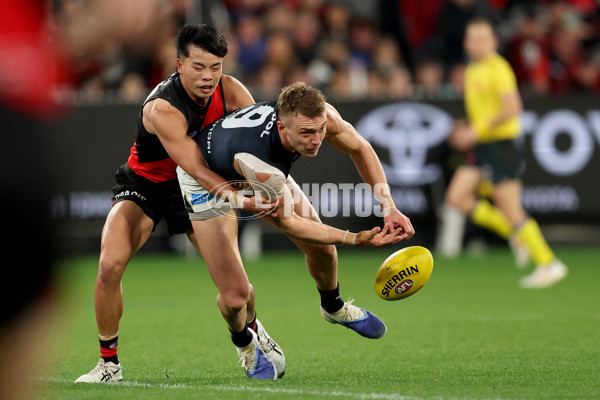 AFL 2025 Round 24 - Essendon v Carlton - A-61631433