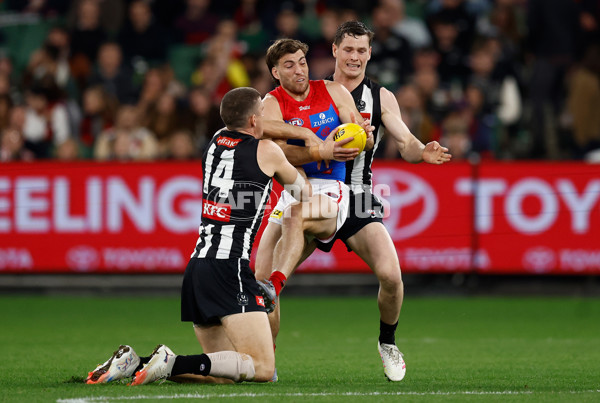 AFL 2025 Round 24 - Collingwood v Melbourne - A-61638978