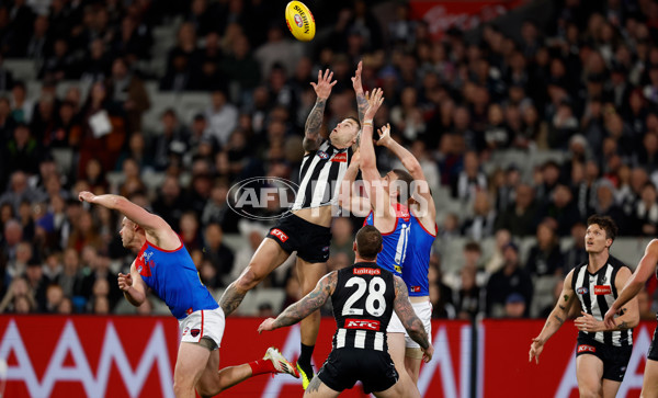 AFL 2025 Round 24 - Collingwood v Melbourne - A-61639347