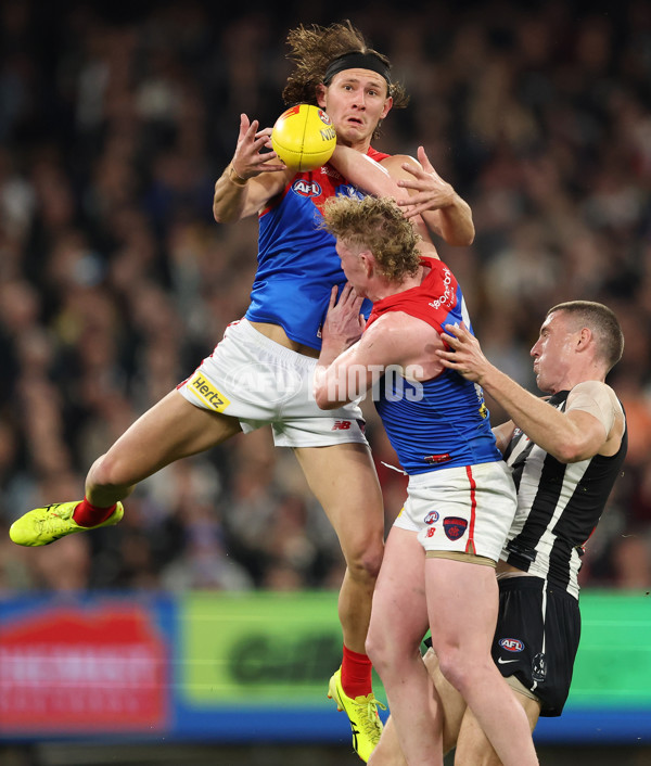 AFL 2025 Round 24 - Collingwood v Melbourne - A-61641583