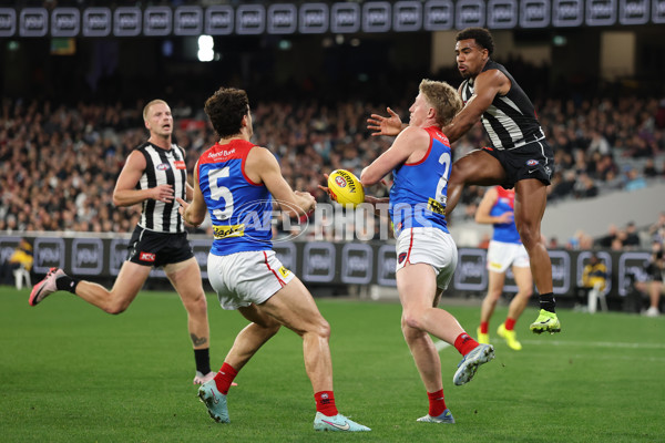 AFL 2025 Round 24 - Collingwood v Melbourne - A-61641826