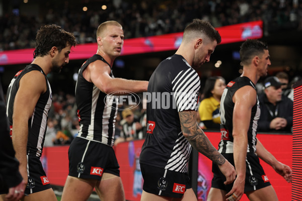 AFL 2025 Round 24 - Collingwood v Melbourne - A-61644163