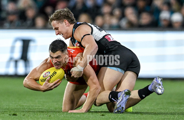 AFL 2025 Round 24 - Port Adelaide v Gold Coast - A-61644757