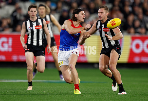 AFL 2025 Round 24 - Collingwood v Melbourne - A-61644835