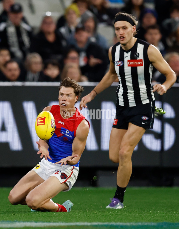 AFL 2025 Round 24 - Collingwood v Melbourne - A-61646923
