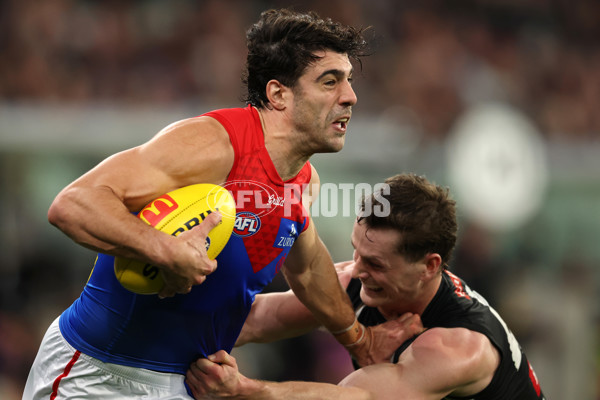 AFL 2025 Round 24 - Collingwood v Melbourne - A-61646949