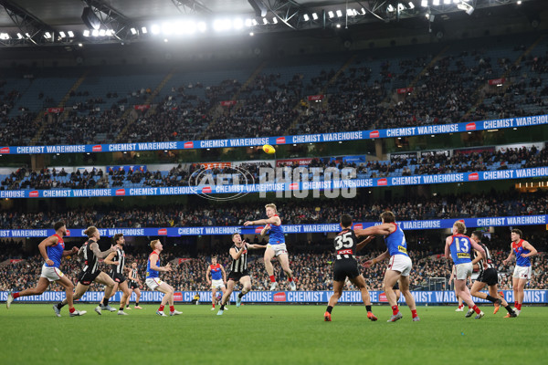 AFL 2025 Round 24 - Collingwood v Melbourne - A-61649727